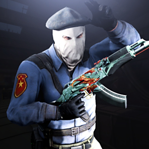 这一项目的 这一项目的