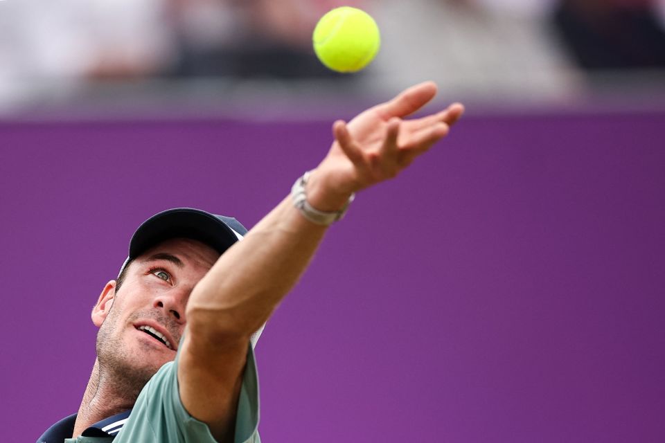 体育在推动 体育在推动