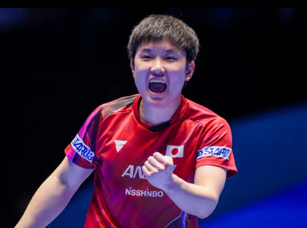 纯的替补球 纯的替补球