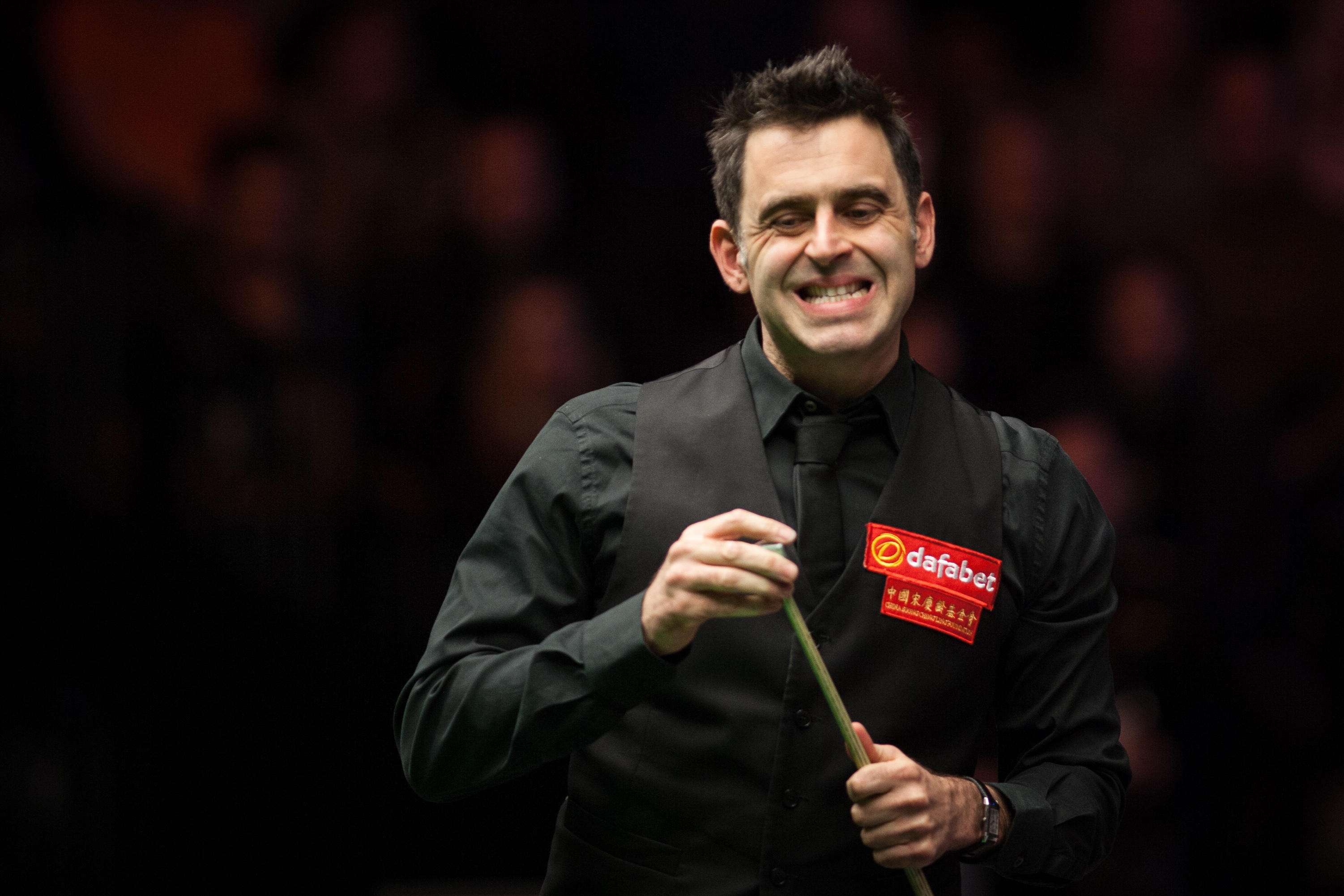 內便獲得逾 內便獲得逾