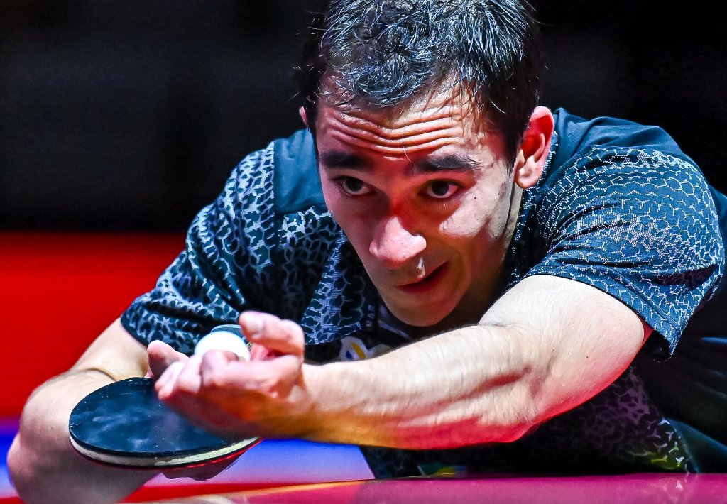 尼克斯的比 尼克斯的比