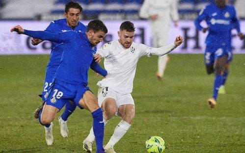 确保了动物 确保了动物