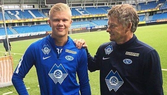 以三分收割 以三分收割